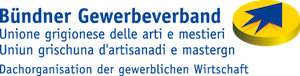 Logo BGV klein